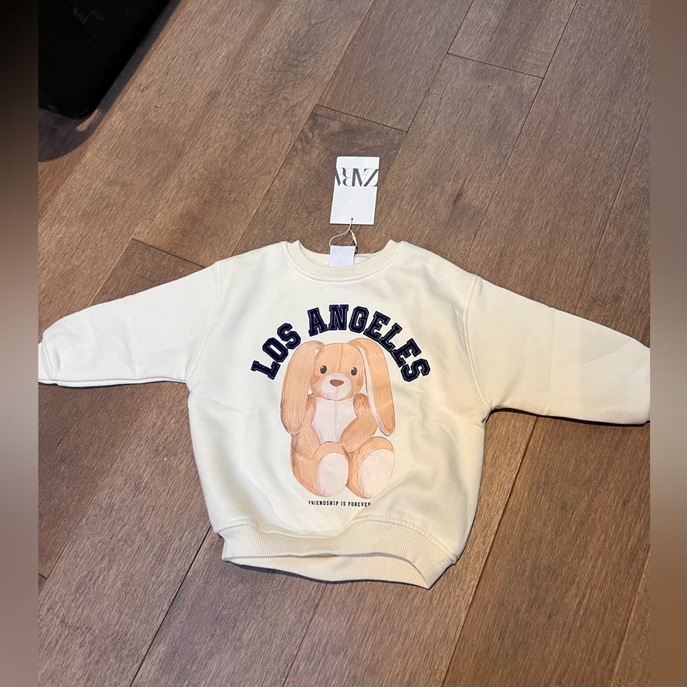 Zara toddler sweatshirt